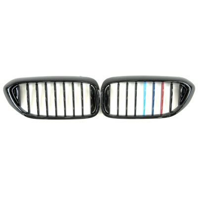 Ніздрі M-color ( 1 Bar ) BMW 5 G30/G31 (2017–2020)