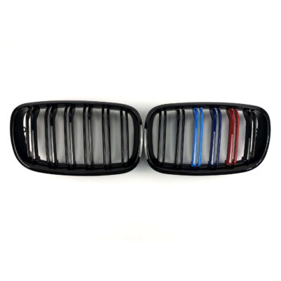 Ніздрі M-color ( Подвійні M-Look ) BMW X5 E70