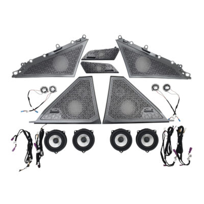 Сітки на динаміки ( Bowers & Wilkins ) Silver BMW 5 G60/G61 (2023–2025)