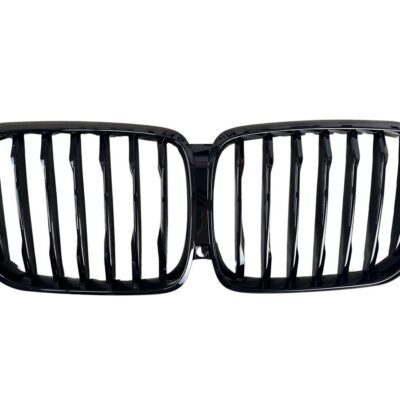 Решітка радіатора · M Paket BMW X5 (G05)