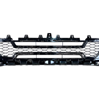 Решітка в бампер · M Paket BMW X1 (U11) 51115A0B678